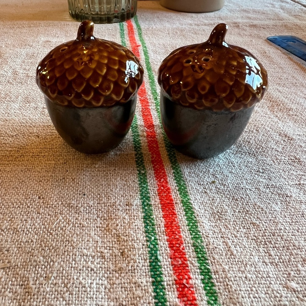 Pottery Barn Acorn Salt and Pepper Shakers - Brown and Black​​